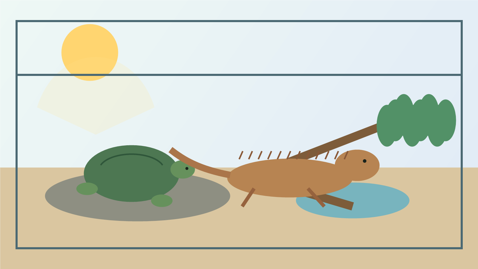 Eine Schildkröte und Bartagame in hellem Innenhabitat